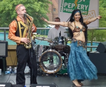 festival of world and roots music